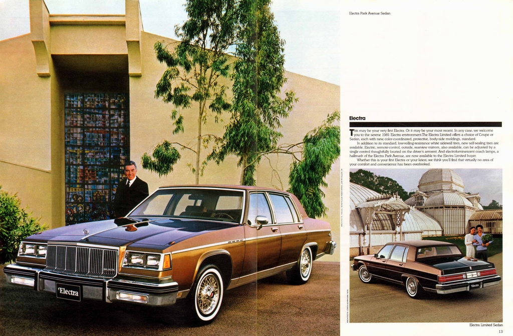 n_1981 Buick Full Line Prestige-12-13.jpg